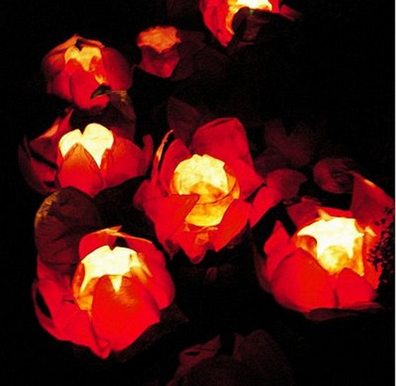 Chinese floating lotus lanterns