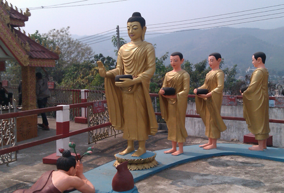Lotus offered Buddha